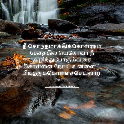 Picture 05 - உபாகமம் 28:21 TAMIRV - நீ - Bible Verse Picture