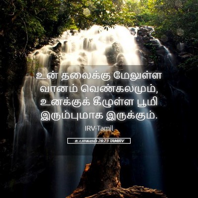 Picture 05 - உபாகமம் 28:23 TAMIRV - உன் தலைக்கு - Bible Verse Picture
