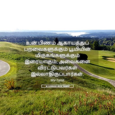 Picture 05 - உபாகமம் 28:26 TAMIRV - உன் பிணம் - Bible Verse Picture