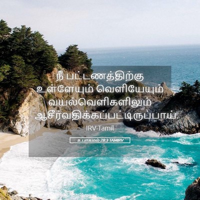 Picture 05 - உபாகமம் 28:3 TAMIRV - நீ பட்டணத்திற்கு - Bible Verse Picture