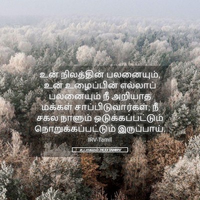 Picture 05 - உபாகமம் 28:33 TAMIRV - உன் நிலத்தின் - Bible Verse Picture