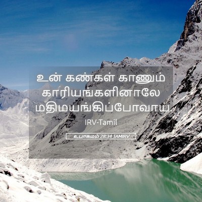 Picture 05 - உபாகமம் 28:34 TAMIRV - உன் கண்கள் காணும் - Bible Verse Picture