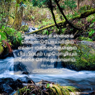 Picture 05 - உபாகமம் 28:37 TAMIRV - யெகோவா உன்னைக் - Bible Verse Picture