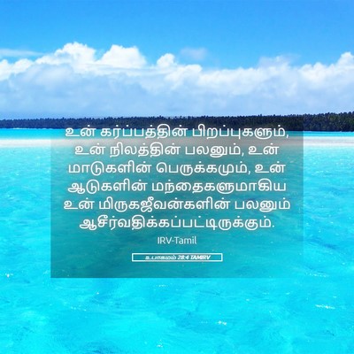 Picture 05 - உபாகமம் 28:4 TAMIRV - உன் கர்ப்பத்தின் - Bible Verse Picture