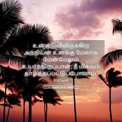 Picture 05 - உபாகமம் 28:43 TAMIRV - உன் - Bible Verse Picture
