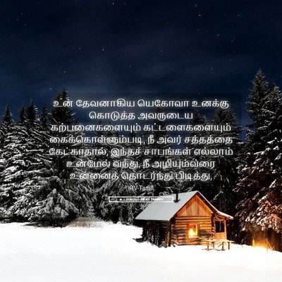 Picture 05 - உபாகமம் 28:45 TAMIRV - உன் தேவனாகிய - Bible Verse Picture