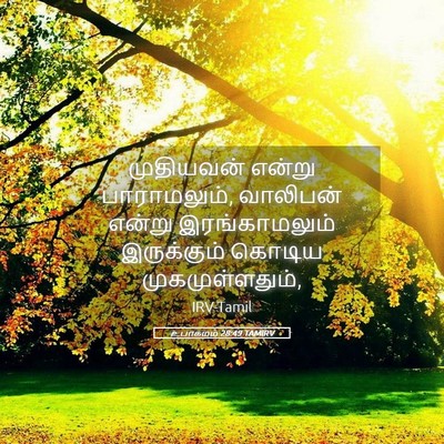 Picture 05 - உபாகமம் 28:49 TAMIRV - முதியவன் என்று - Bible Verse Picture