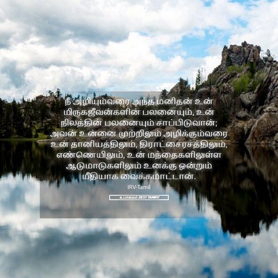 Picture 05 - உபாகமம் 28:51 TAMIRV - நீ அழியும்வரை - Bible Verse Picture