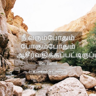 Picture 05 - உபாகமம் 28:6 TAMIRV - நீ வரும்போதும் - Bible Verse Picture