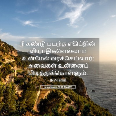 Picture 05 - உபாகமம் 28:60 TAMIRV - நீ கண்டு பயந்த - Bible Verse Picture