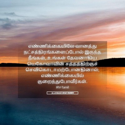 Picture 05 - உபாகமம் 28:62 TAMIRV - எண்ணிக்கையிலே - Bible Verse Picture