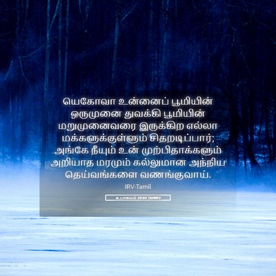 Picture 05 - உபாகமம் 28:64 TAMIRV - யெகோவா உன்னைப் - Bible Verse Picture