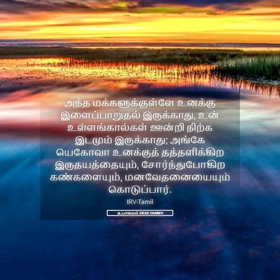 Picture 05 - உபாகமம் 28:65 TAMIRV - அந்த - Bible Verse Picture