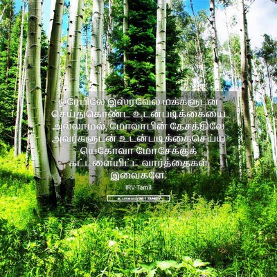 Picture 05 - உபாகமம் 29:1 TAMIRV - ஓரேபிலே இஸ்ரவேல் - Bible Verse Picture