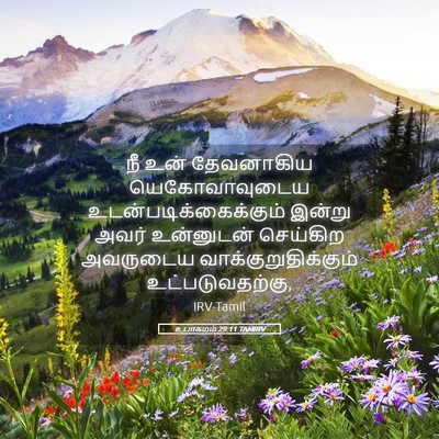 Picture 05 - உபாகமம் 29:11 TAMIRV - நீ உன் தேவனாகிய - Bible Verse Picture