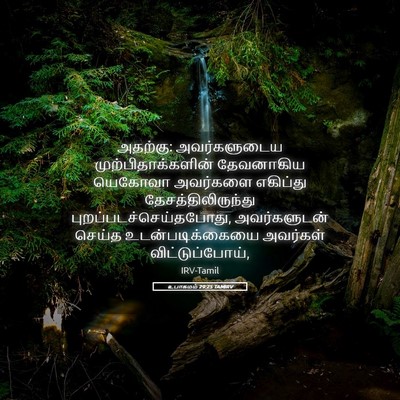 Picture 05 - உபாகமம் 29:25 TAMIRV - அதற்கு: - Bible Verse Picture