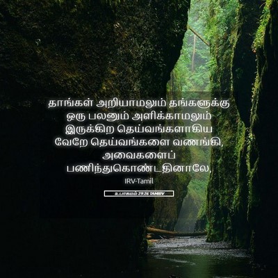 Picture 05 - உபாகமம் 29:26 TAMIRV - தாங்கள் - Bible Verse Picture