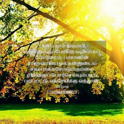 Picture 05 - உபாகமம் 3:1 TAMIRV - “பின்பு நாம் - Bible Verse Picture