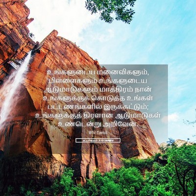 Picture 05 - உபாகமம் 3:19 TAMIRV - உங்களுடைய - Bible Verse Picture