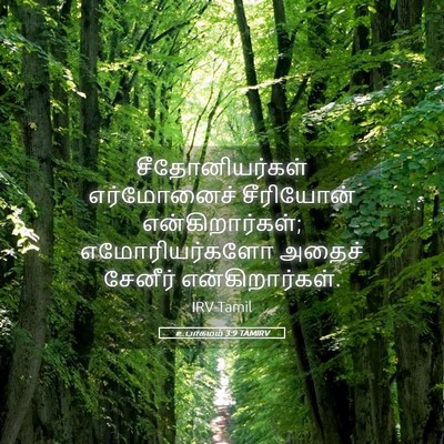 Picture 05 - உபாகமம் 3:9 TAMIRV - சீதோனியர்கள் - Bible Verse Picture