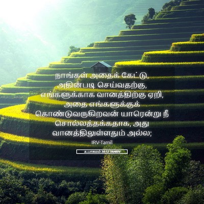 Picture 05 - உபாகமம் 30:12 TAMIRV - நாங்கள் அதைக் - Bible Verse Picture