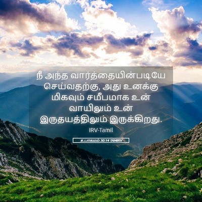 Picture 05 - உபாகமம் 30:14 TAMIRV - நீ அந்த - Bible Verse Picture