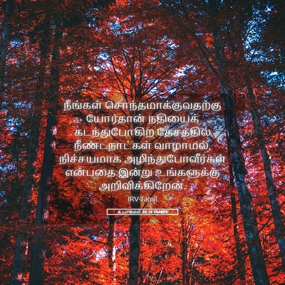 Picture 05 - உபாகமம் 30:18 TAMIRV - நீங்கள் - Bible Verse Picture