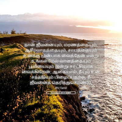 Picture 05 - உபாகமம் 30:19 TAMIRV - நான் ஜீவனையும், - Bible Verse Picture