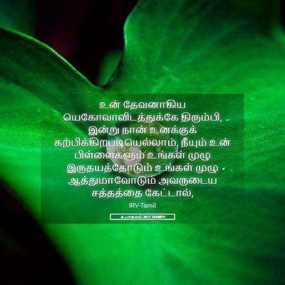 Picture 05 - உபாகமம் 30:2 TAMIRV - உன் தேவனாகிய - Bible Verse Picture