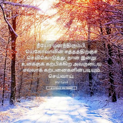 Picture 05 - உபாகமம் 30:8 TAMIRV - நீயோ - Bible Verse Picture