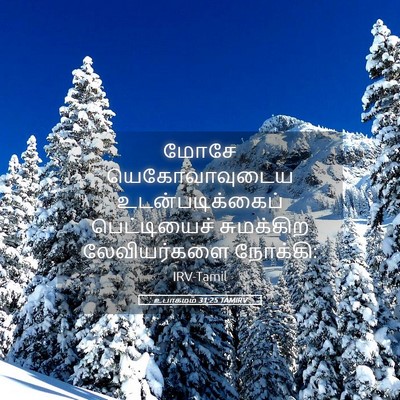Picture 05 - உபாகமம் 31:25 TAMIRV - மோசே யெகோவாவுடைய - Bible Verse Picture