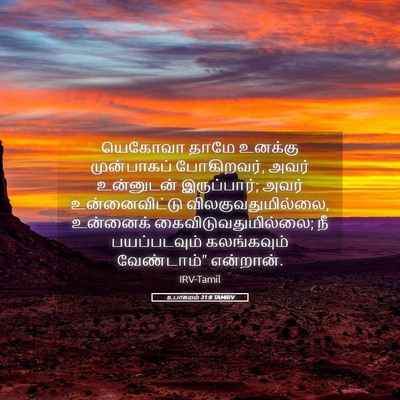 Picture 05 - உபாகமம் 31:8 TAMIRV - யெகோவா தாமே - Bible Verse Picture