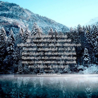Picture 05 - உபாகமம் 32:13 TAMIRV - பூமியிலுள்ள - Bible Verse Picture