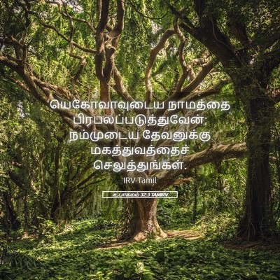 Picture 05 - உபாகமம் 32:3 TAMIRV - யெகோவாவுடைய - Bible Verse Picture