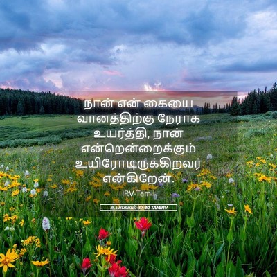 Picture 05 - உபாகமம் 32:40 TAMIRV - நான் என் கையை - Bible Verse Picture