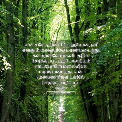 Picture 05 - உபாகமம் 32:51 TAMIRV - உன் சகோதரனாகிய - Bible Verse Picture