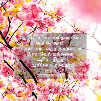 Picture 05 - உபாகமம் 33:1 TAMIRV - தேவனுடைய - Bible Verse Picture