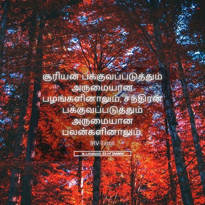 Picture 05 - உபாகமம் 33:14 TAMIRV - சூரியன் - Bible Verse Picture
