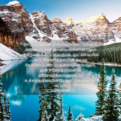Picture 05 - உபாகமம் 33:16 TAMIRV - நாடும் அதின் - Bible Verse Picture