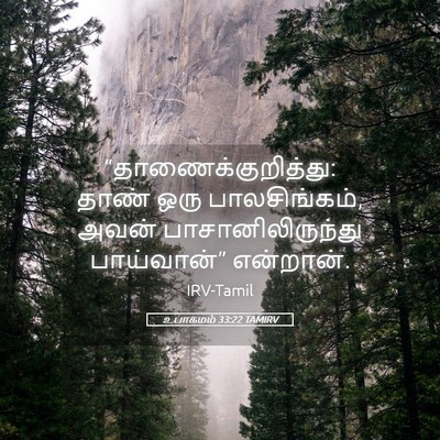 Picture 05 - உபாகமம் 33:22 TAMIRV - “தாணைக்குறித்து: - Bible Verse Picture