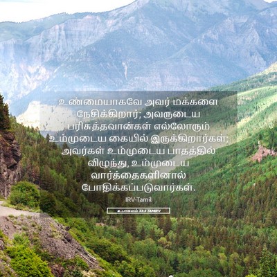 Picture 05 - உபாகமம் 33:3 TAMIRV - உண்மையாகவே அவர் - Bible Verse Picture