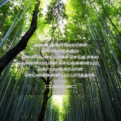 Picture 05 - உபாகமம் 34:11 TAMIRV - அவன் இஸ்ரவேலர்கள் - Bible Verse Picture