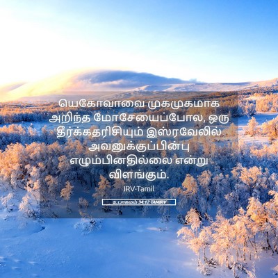 Picture 05 - உபாகமம் 34:12 TAMIRV - யெகோவாவை - Bible Verse Picture