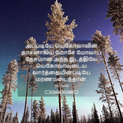 Picture 05 - உபாகமம் 34:5 TAMIRV - அப்படியே - Bible Verse Picture