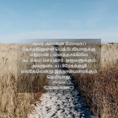 Picture 05 - உபாகமம் 34:6 TAMIRV - அவர் அவனை மோவாப் - Bible Verse Picture