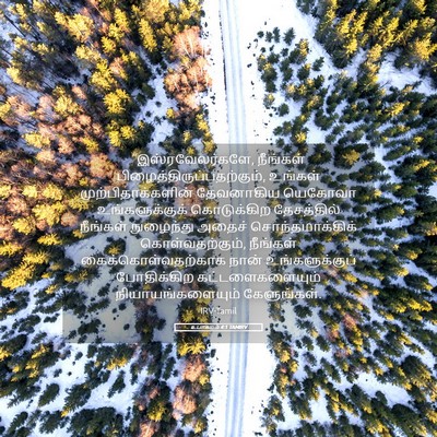 Picture 05 - உபாகமம் 4:1 TAMIRV - “இஸ்ரவேலர்களே, - Bible Verse Picture