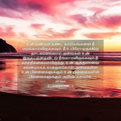 Picture 05 - உபாகமம் 4:10 TAMIRV - உன் கண்கள் கண்ட - Bible Verse Picture