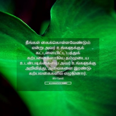 Picture 05 - உபாகமம் 4:13 TAMIRV - நீங்கள் - Bible Verse Picture