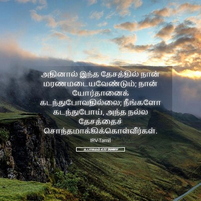 Picture 05 - உபாகமம் 4:22 TAMIRV - அதினால் இந்த - Bible Verse Picture