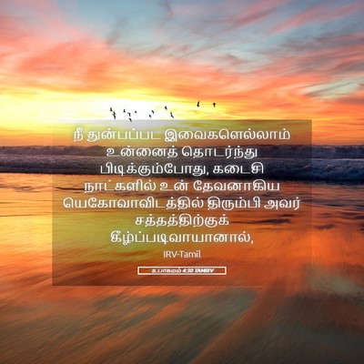 Picture 05 - உபாகமம் 4:30 TAMIRV - நீ துன்பப்பட - Bible Verse Picture